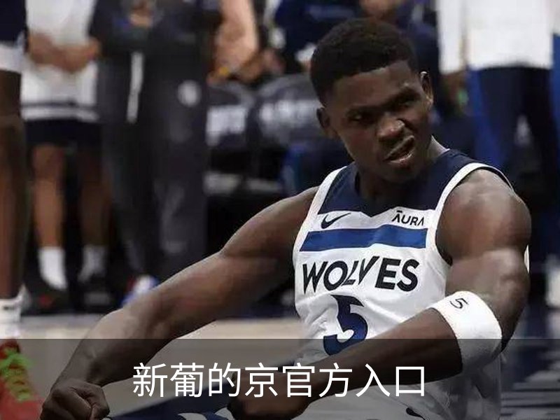 了解新葡的京官方入口